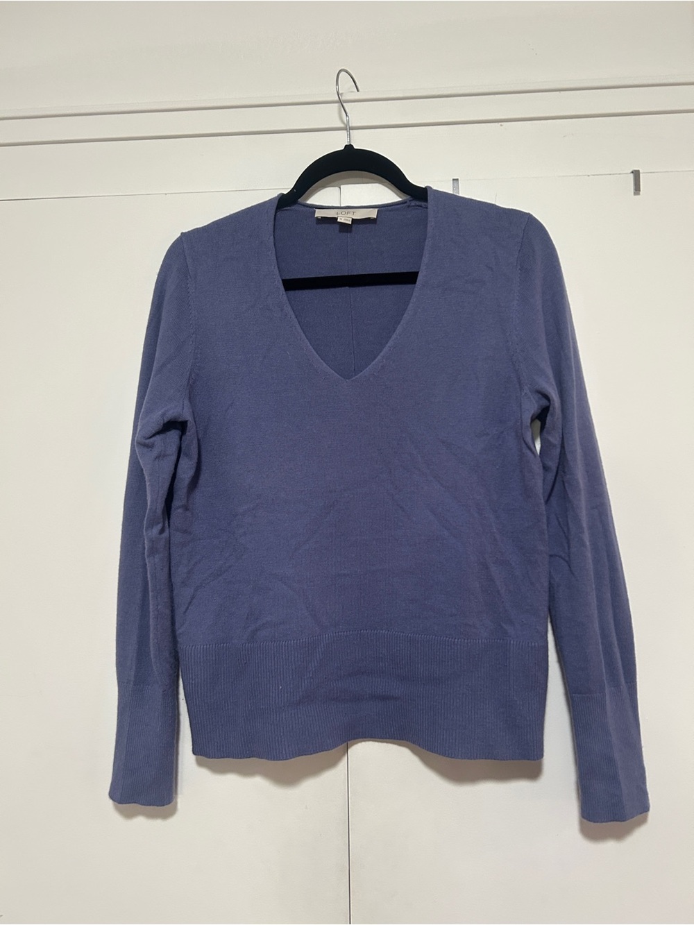 Loft V-Nexk sweater